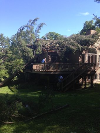 Lawn Care, Somers, NY